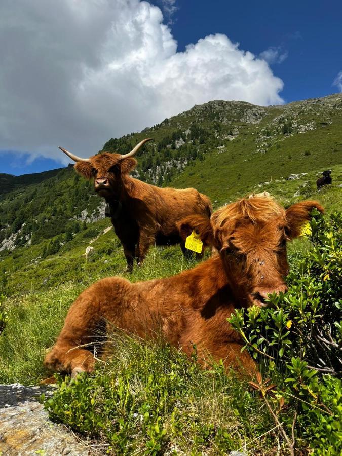 Die Acherberg Alm Oetz Luaran gambar