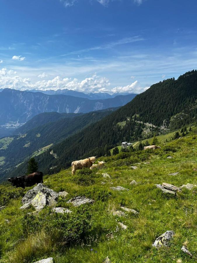 Die Acherberg Alm Oetz Luaran gambar